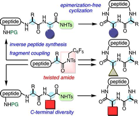 ghk-cu-peptide-effects