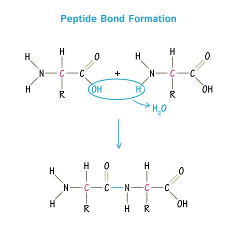 ghk-cu-peptide-injection-buy-online